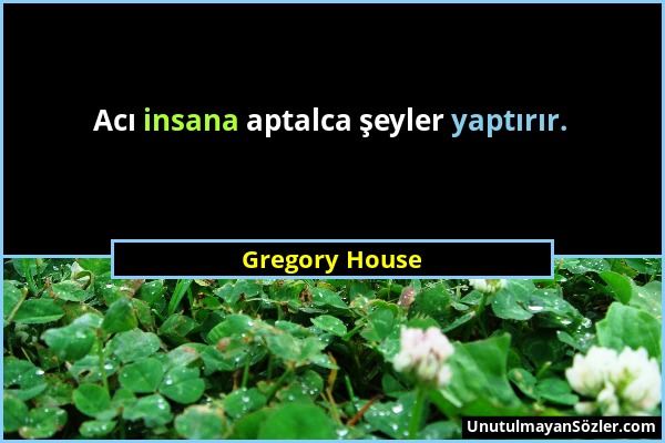 Gregory House - Acı insana aptalca şeyler yaptırır....