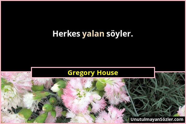 Gregory House - Herkes yalan söyler....