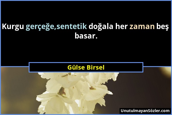 Gülse Birsel - Kurgu gerçeğe,sentetik doğala her zaman beş basar....