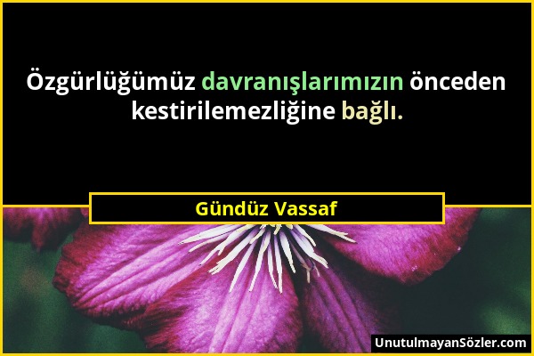 Gündüz Vassaf - Özgürlüğümüz davranışlarımızın önceden kestirilemezliğine bağlı....