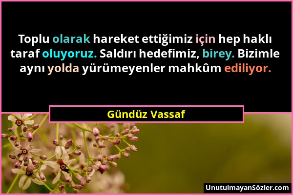 Gündüz Vassaf - Toplu olarak hareket ettiğimiz için hep haklı taraf oluyoruz. Saldırı hedefimiz, birey. Bizimle aynı yolda yürümeyenler mahkûm ediliyo...