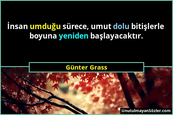 Günter Grass - İnsan umduğu sürece, umut dolu bitişlerle boyuna yeniden başlayacaktır....