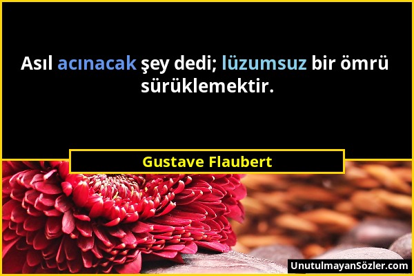 Gustave Flaubert - Asıl acınacak şey dedi; lüzumsuz bir ömrü sürüklemektir....