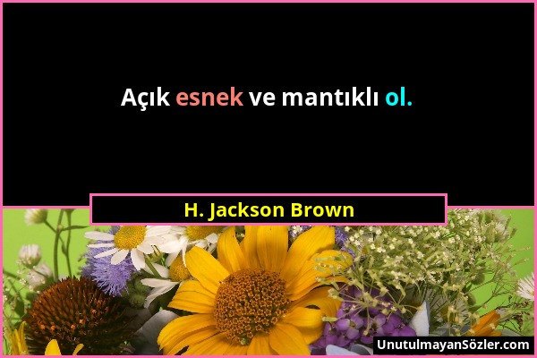 H. Jackson Brown - Açık esnek ve mantıklı ol....