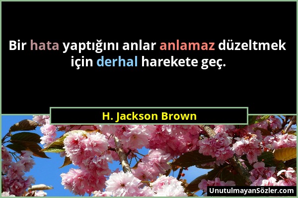 H. Jackson Brown - Bir hata yaptığını anlar anlamaz düzeltmek için derhal harekete geç....