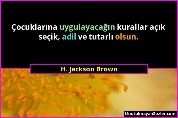 H. Jackson Brown - Çocuklarına uygulayacağın kurallar açık seçik, adil ve tutarlı olsun....