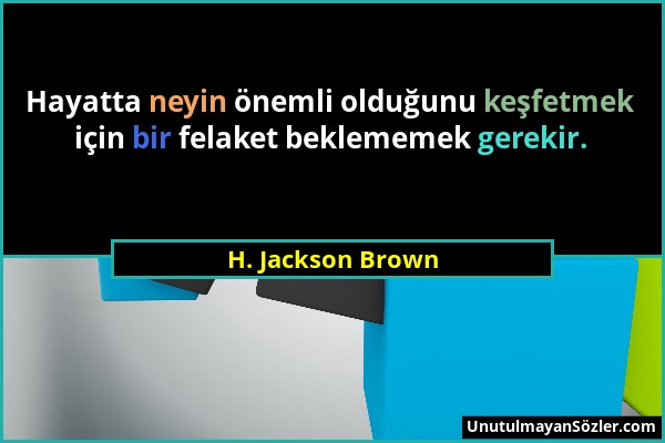 H. Jackson Brown - Hayatta neyin önemli olduğunu keşfetmek için bir felaket beklememek gerekir....