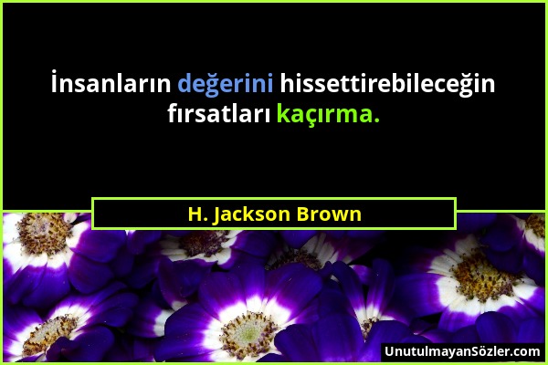 H. Jackson Brown - İnsanların değerini hissettirebileceğin fırsatları kaçırma....