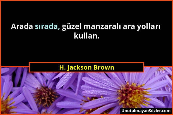 H. Jackson Brown - Arada sırada, güzel manzaralı ara yolları kullan....