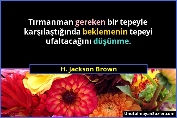 H. Jackson Brown - Tırmanman gereken bir tepeyle karşılaştığında beklemenin tepeyi ufaltacağını düşünme....