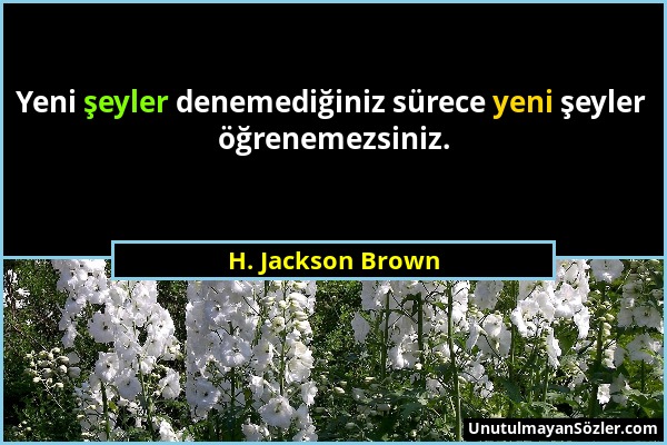 H. Jackson Brown - Yeni şeyler denemediğiniz sürece yeni şeyler öğrenemezsiniz....
