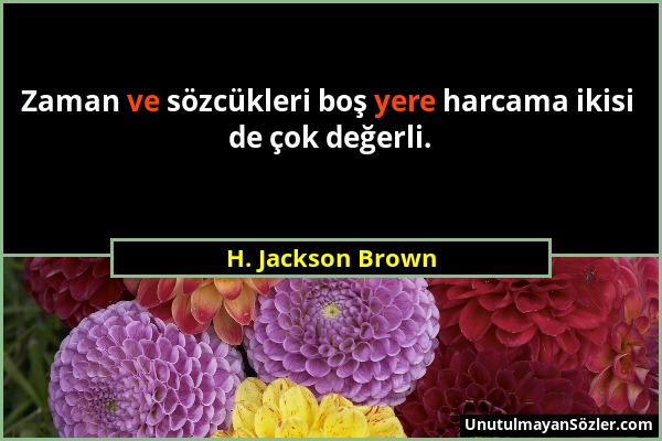 H. Jackson Brown - Zaman ve sözcükleri boş yere harcama ikisi de çok değerli....