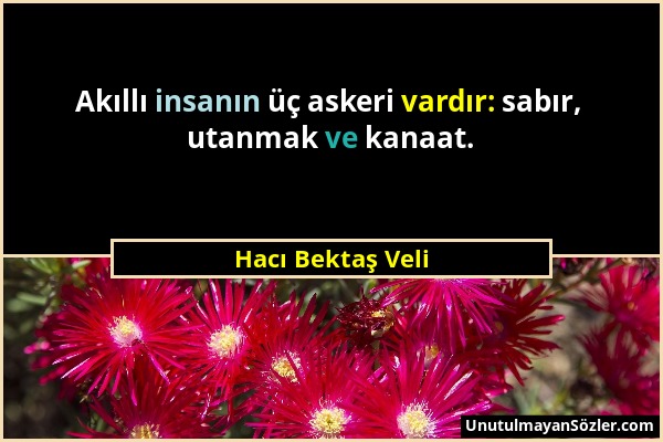 Hacı Bektaş Veli - Akıllı insanın üç askeri vardır: sabır, utanmak ve kanaat....