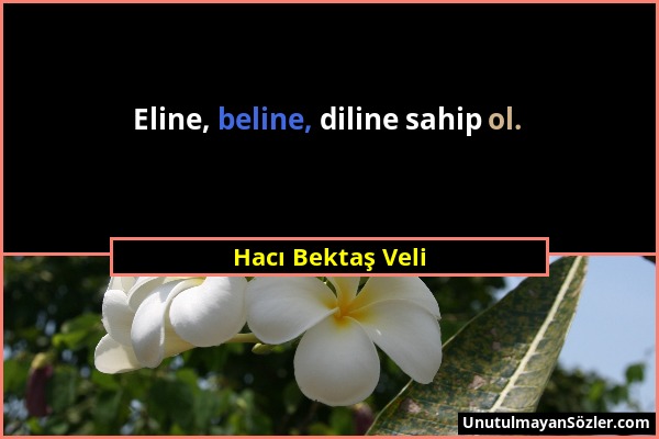 Hacı Bektaş Veli - Eline, beline, diline sahip ol....