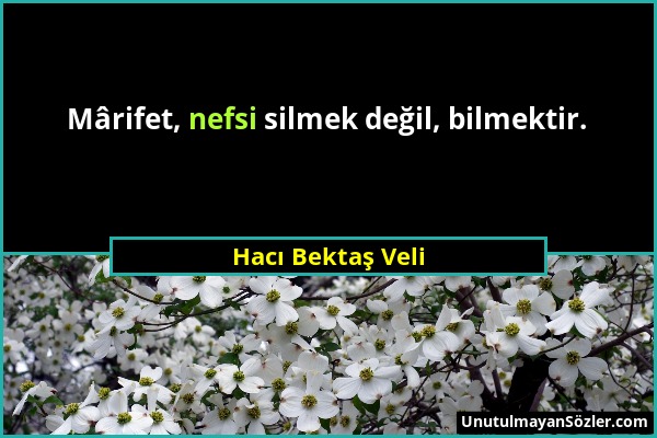 Hacı Bektaş Veli - Mârifet, nefsi silmek değil, bilmektir....