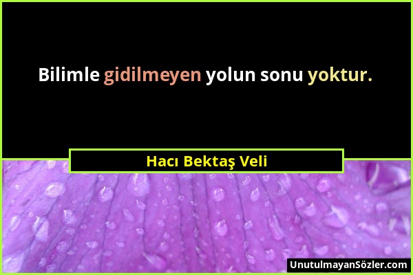 Hacı Bektaş Veli - Bilimle gidilmeyen yolun sonu yoktur....