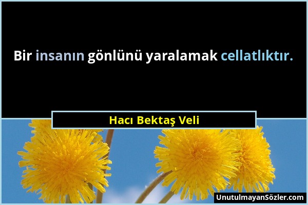 Hacı Bektaş Veli - Bir insanın gönlünü yaralamak cellatlıktır....