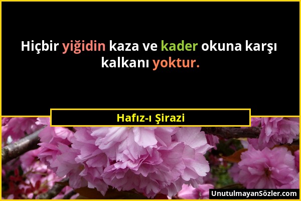 Hafız-ı Şirazi - Hiçbir yiğidin kaza ve kader okuna karşı kalkanı yoktur....