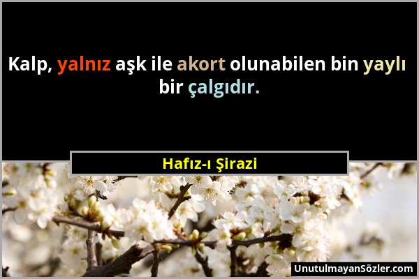 Hafız-ı Şirazi - Kalp, yalnız aşk ile akort olunabilen bin yaylı bir çalgıdır....