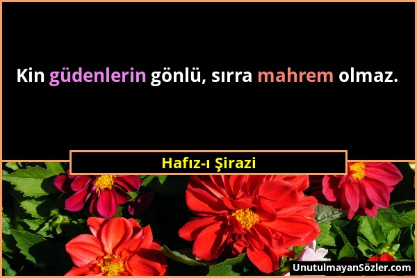 Hafız-ı Şirazi - Kin güdenlerin gönlü, sırra mahrem olmaz....