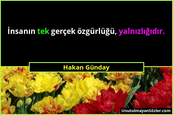 Hakan Günday - İnsanın tek gerçek özgürlüğü, yalnızlığıdır....