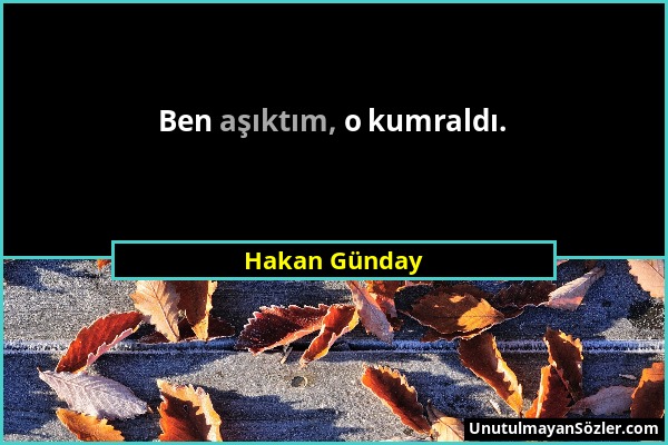 Hakan Günday - Ben aşıktım, o kumraldı....