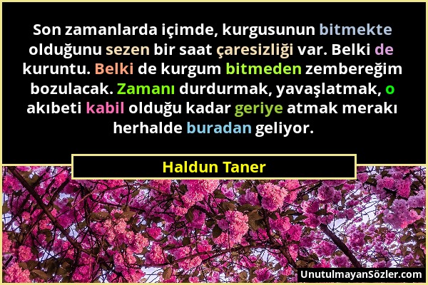 Haldun Taner - Son zamanlarda içimde, kurgusunun bitmekte olduğunu sezen bir saat çaresizliği var. Belki de kuruntu. Belki de kurgum bitmeden zembereğ...