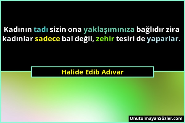 Halide Edib Adıvar - Kadının tadı sizin ona yaklaşımınıza bağlıdır zira kadınlar sadece bal değil, zehir tesiri de yaparlar....