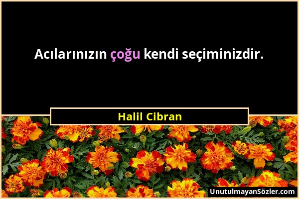 Halil Cibran - Acılarınızın çoğu kendi seçiminizdir....