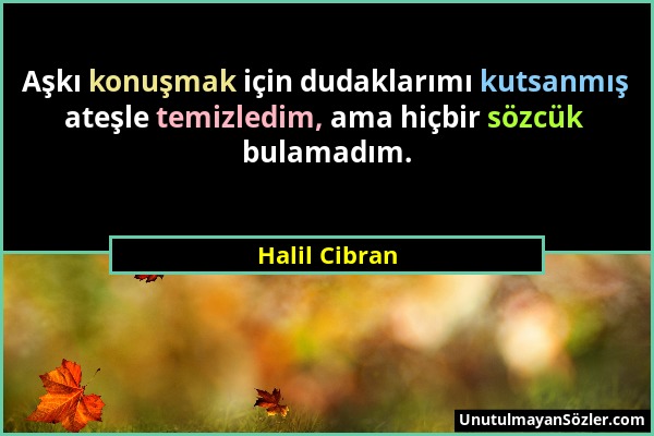 Halil Cibran - Aşkı konuşmak için dudaklarımı kutsanmış ateşle temizledim, ama hiçbir sözcük bulamadım....