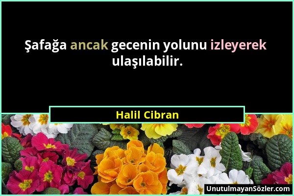 Halil Cibran - Şafağa ancak gecenin yolunu izleyerek ulaşılabilir....