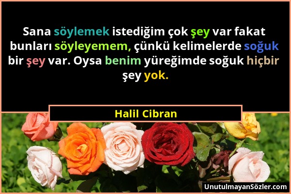 Halil Cibran - Sana söylemek istediğim çok şey var fakat bunları söyleyemem, çünkü kelimelerde soğuk bir şey var. Oysa benim yüreğimde soğuk hiçbir şe...
