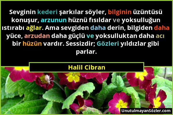 Halil Cibran - Sevginin kederi şarkılar söyler, bilginin üzüntüsü konuşur, arzunun hüznü fısıldar ve yoksulluğun ıstırabı ağlar. Ama sevgiden daha der...