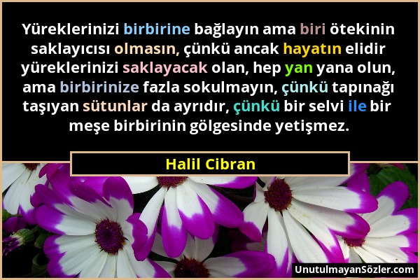 Halil Cibran - Yüreklerinizi birbirine bağlayın ama biri ötekinin saklayıcısı olmasın, çünkü ancak hayatın elidir yüreklerinizi saklayacak olan, hep y...