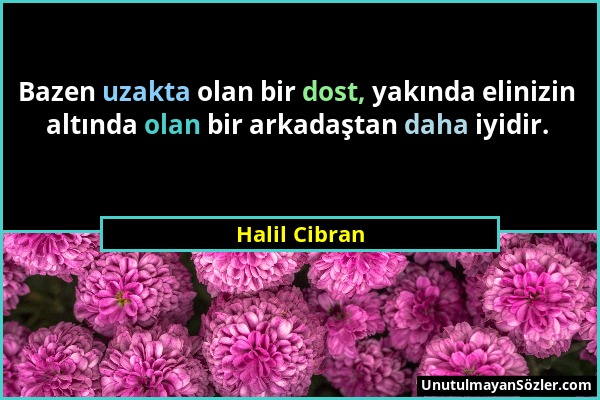 Halil Cibran - Bazen uzakta olan bir dost, yakında elinizin altında olan bir arkadaştan daha iyidir....