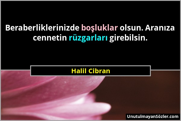 Halil Cibran - Beraberliklerinizde boşluklar olsun. Aranıza cennetin rüzgarları girebilsin....