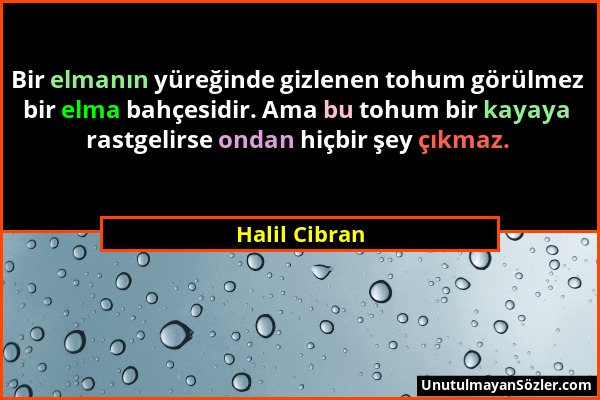 Halil Cibran - Bir elmanın yüreğinde gizlenen tohum görülmez bir elma bahçesidir. Ama bu tohum bir kayaya rastgelirse ondan hiçbir şey çıkmaz....