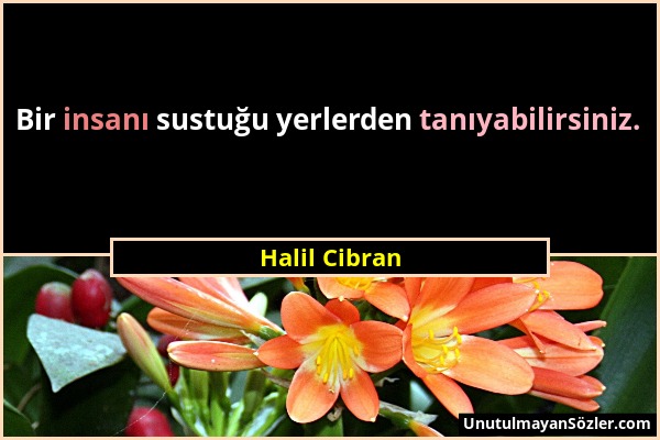 Halil Cibran - Bir insanı sustuğu yerlerden tanıyabilirsiniz....