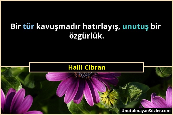 Halil Cibran - Bir tür kavuşmadır hatırlayış, unutuş bir özgürlük....