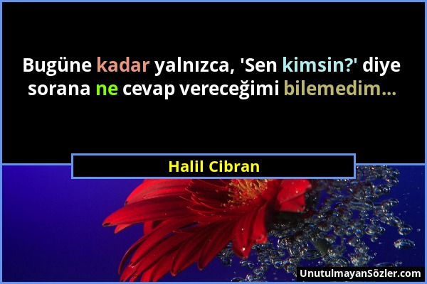 Halil Cibran - Bugüne kadar yalnızca, 'Sen kimsin?' diye sorana ne cevap vereceğimi bilemedim......