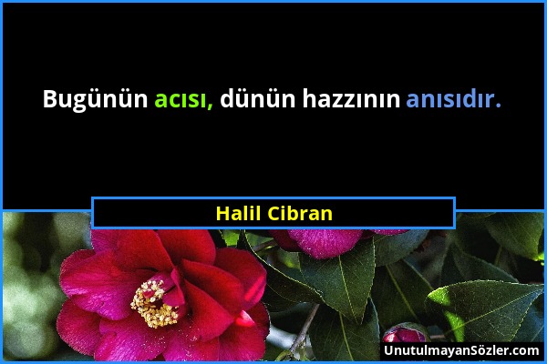 Halil Cibran - Bugünün acısı, dünün hazzının anısıdır....
