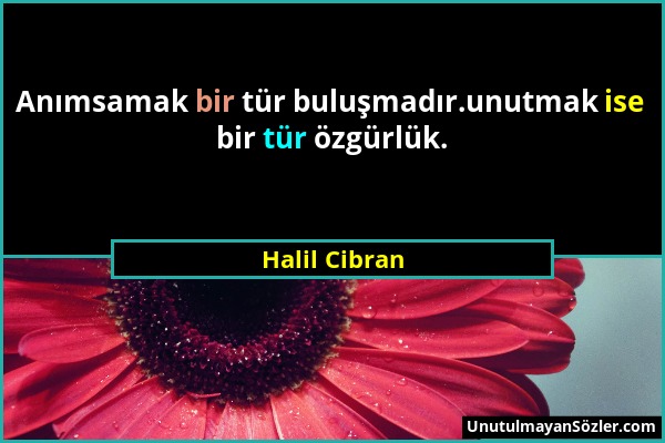 Halil Cibran - Anımsamak bir tür buluşmadır.unutmak ise bir tür özgürlük....