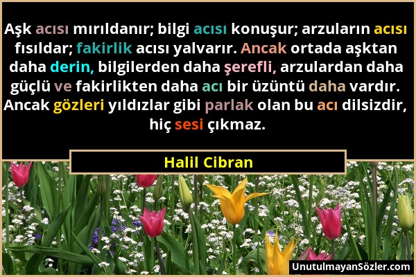 Halil Cibran - Aşk acısı mırıldanır; bilgi acısı konuşur; arzuların acısı fısıldar; fakirlik acısı yalvarır. Ancak ortada aşktan daha derin, bilgilerd...