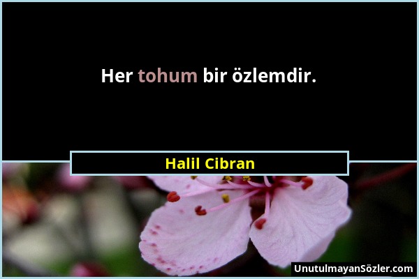 Halil Cibran - Her tohum bir özlemdir....