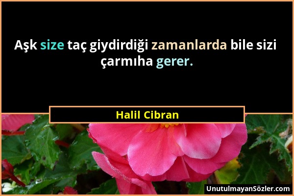 Halil Cibran - Aşk size taç giydirdiği zamanlarda bile sizi çarmıha gerer....