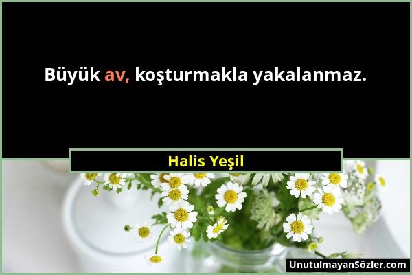 Halis Yeşil - Büyük av, koşturmakla yakalanmaz....