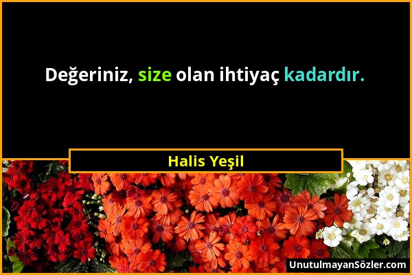 Halis Yeşil - Değeriniz, size olan ihtiyaç kadardır....