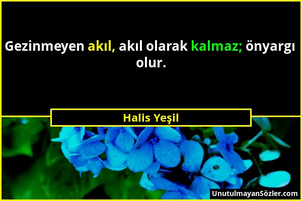 Halis Yeşil - Gezinmeyen akıl, akıl olarak kalmaz; önyargı olur....