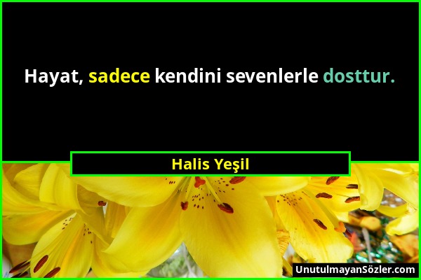 Halis Yeşil - Hayat, sadece kendini sevenlerle dosttur....