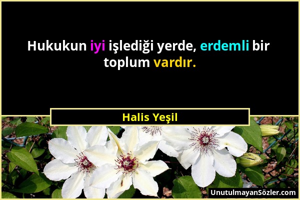 Halis Yeşil - Hukukun iyi işlediği yerde, erdemli bir toplum vardır....